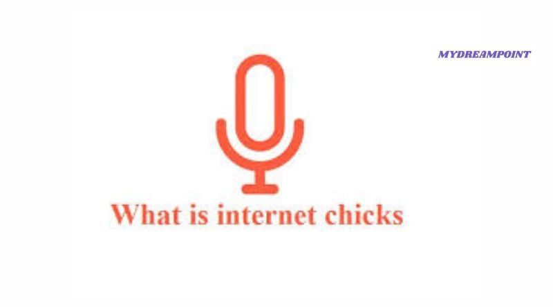 Internet Chicks